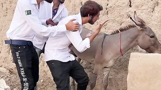 Best Fails of 2023 || Funny Videos