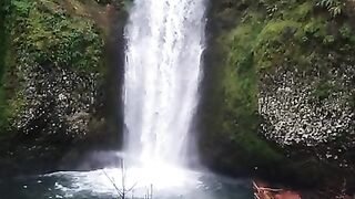 Natural Beauty