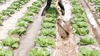 Smart Work by Smart people ☺️