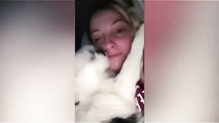 Best Funny Videos Of Dogs And Cats Try Not To Laugh+(