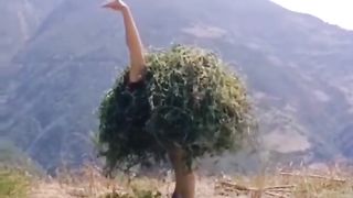 Funny vedio