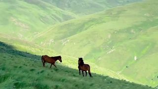 Heaven On Earth| Relaxing Natural View