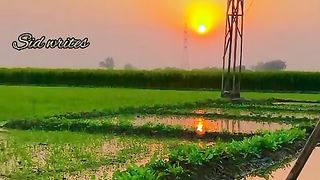 Qawali lovers