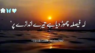 Funny videos