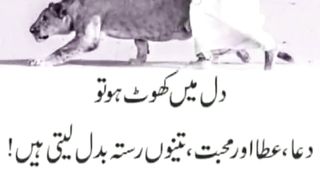 quotes||urdu quotes||