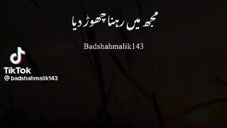 Funny videos