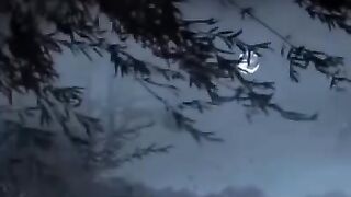 Beautiful calm music for relaxation, will help you to relieve stress and forget disturbing