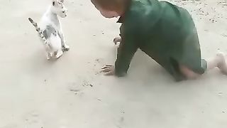 Fanny video