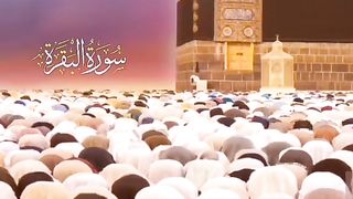 Islamic video _islaic information