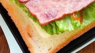 Yummy sandwich cooking