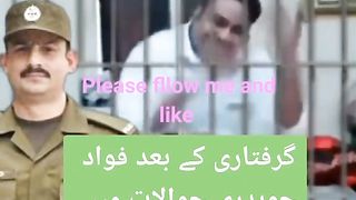 Ch fowad