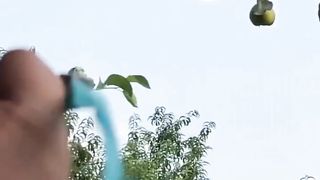 Amazing Talent