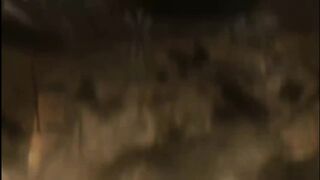TEKKEN 5 Gameplay