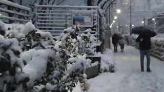 Tokyo Heavy snowfall Japan