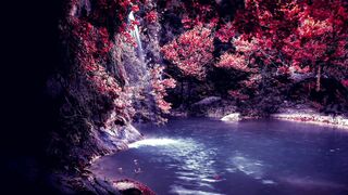 Relaxing Waterfall for Stress relief