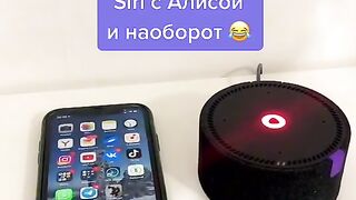 Что будет если сравнить Алису и Сири