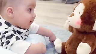 Funny cat|funny Cats|Funny cat videos