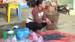 Palm Fruits To the market