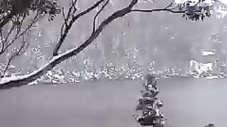 winter wonderland lake Dobson ❄☃️❄