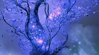 Beautiful flower ????