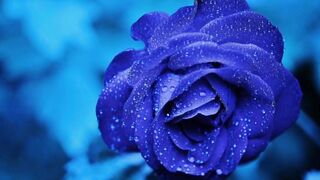 beautiful seen