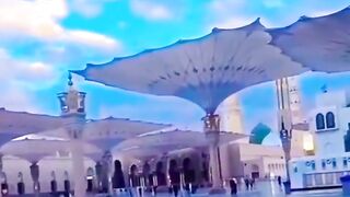 Siddiq e Akbar (R A) ki muhabbat