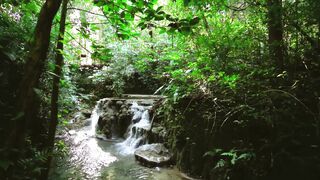 rain in jungle
