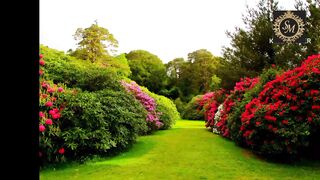 Most Beautiful Places on Planet Earth