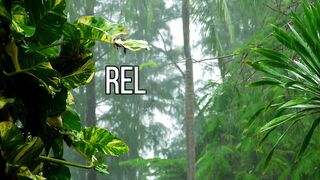 Relaxing Music | Meditation music | Sleeping Fast Music | Heavy rain Music