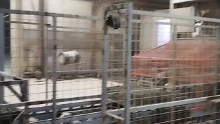 Automatic block machine new technology