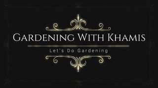 Aloe vera plant khad mein laga dia