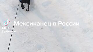 По снегу