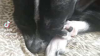 Сон