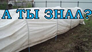 Парник своими руками: пошаговая инструкция