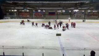 В Новокузнецке юные хоккеисты устроили во время матча массовую драку.