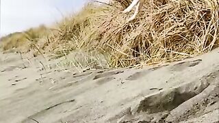 Funny animal's video