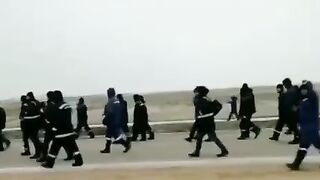 отказались во вторник выходить на работу