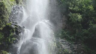 Waterfall in forest