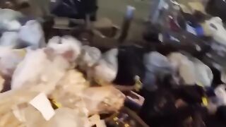 Встретились как-то в США русский и украинец.