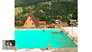 Смертельный номер-- корова в бассейне.