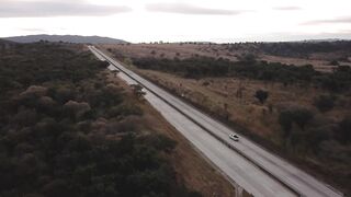 Highway between trees