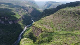 Fly over a huge canyon covered in vegetation