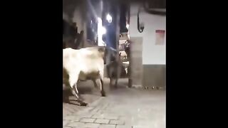 САМЫЕ-СМЕШНЫЕ-ПРИКОЛЫ 2022