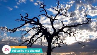Blue music|relaxing music|nature music|ZA 2023
