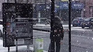 Beautiful snow fall