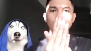 Dog Funny