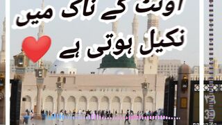 Kon loog janat man nhe jain gy