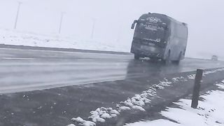 Beautiful buses at snow