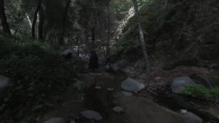 Beauty drone view