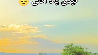 40d8f1dd8f9a472e9510f8222cb38395.